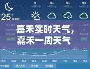 嘉禾实时天气,嘉禾一周天气