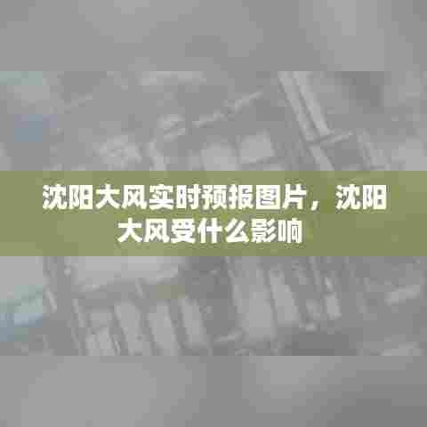 沈阳大风实时预报图片，沈阳大风受什么影响 