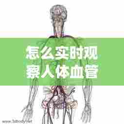 怎么实时观察人体血管，如何测量血管是否健康 