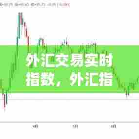 外汇交易实时指数,外汇指数行情