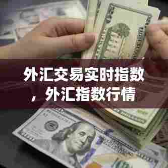 外汇交易实时指数,外汇指数行情