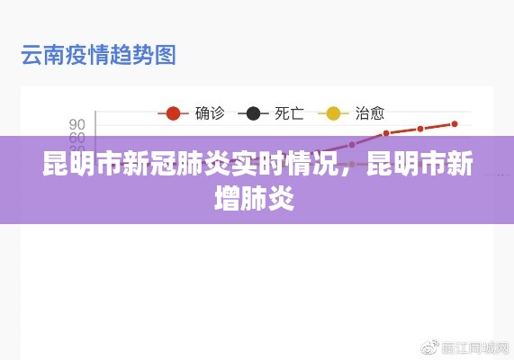 昆明市新冠肺炎实时情况,昆明市新增肺炎