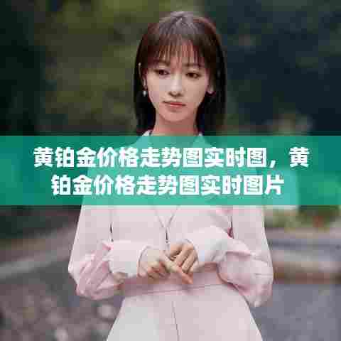 黄铂金价格走势图实时图，黄铂金价格走势图实时图片 