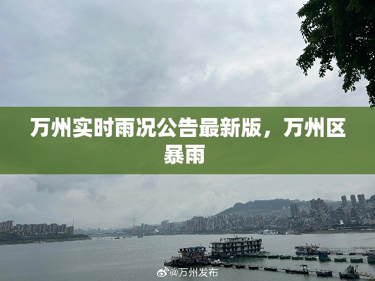 万州实时雨况公告最新版,万州区暴雨