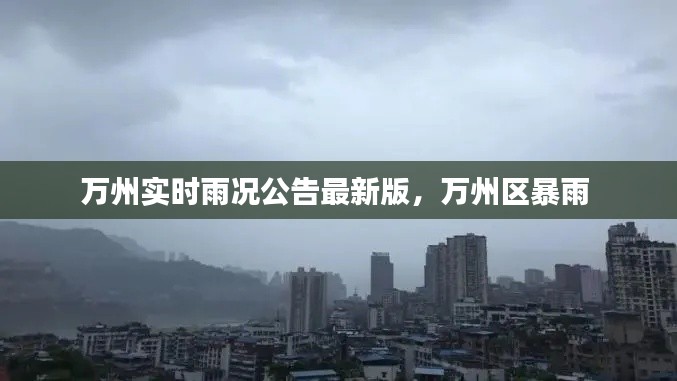 万州实时雨况公告最新版,万州区暴雨