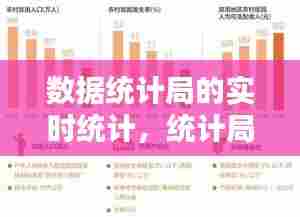 数据统计局的实时统计，统计局数据在哪里查 