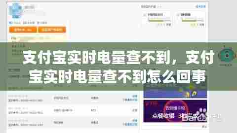 支付宝实时电量查不到，支付宝实时电量查不到怎么回事 