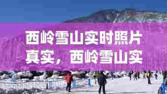 沉灶产蛙 第7页