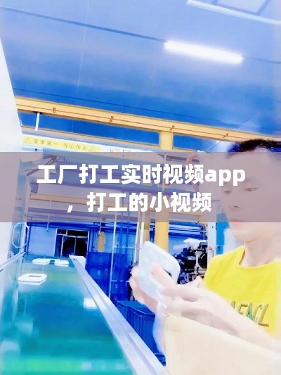 工厂打工实时视频app，打工的小视频 
