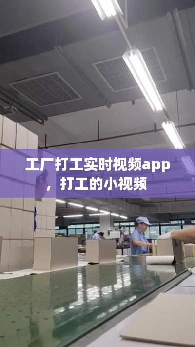 工厂打工实时视频app,打工的小视频