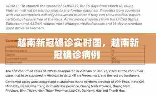 越南新冠确诊实时图,越南新冠确诊病例