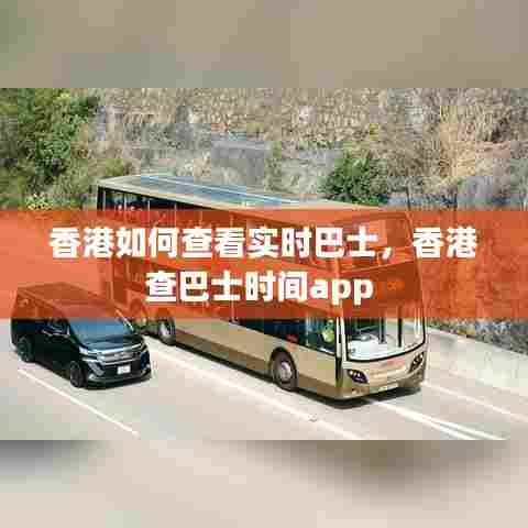 香港如何查看实时巴士，香港查巴士时间app 