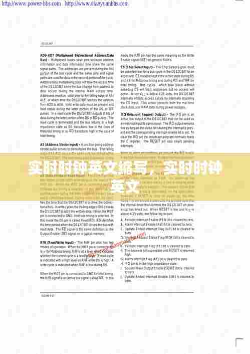 实时时钟英文缩写，实时时钟 英文 