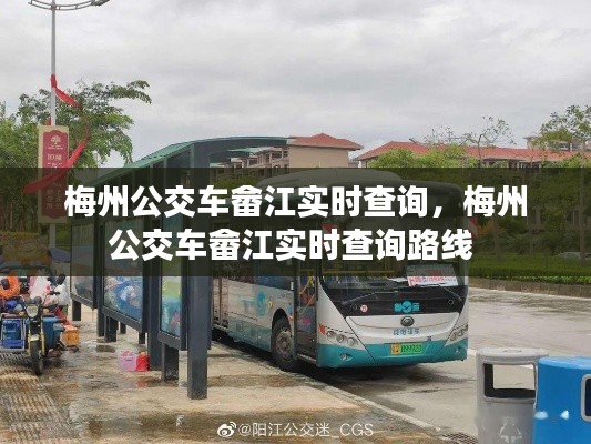 梅州公交车畲江实时查询，梅州公交车畲江实时查询路线 