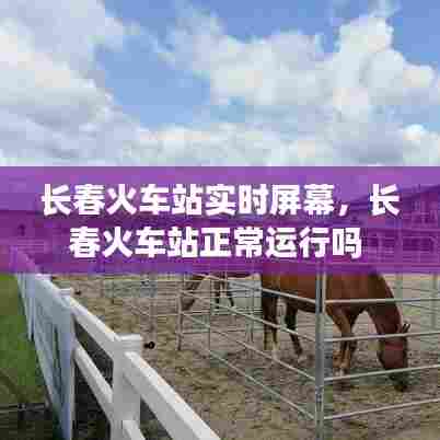 长春火车站实时屏幕，长春火车站正常运行吗 