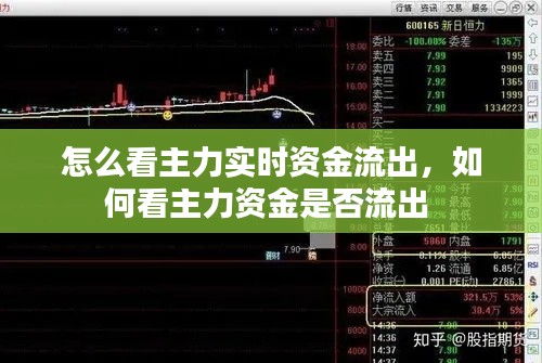 飞墙走壁 第7页