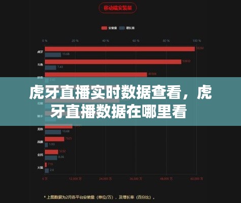 虎牙直播实时数据查看，虎牙直播数据在哪里看 