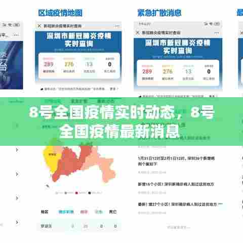 8号全国疫情实时动态，8号全国疫情最新消息 