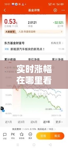 实时涨幅在哪里看的，怎么看涨幅 