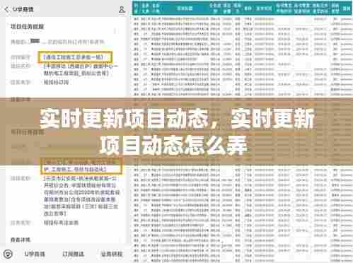 实时更新项目动态，实时更新项目动态怎么弄 