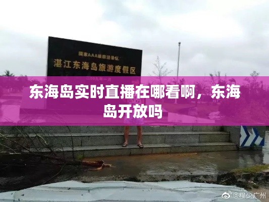 东海岛实时直播在哪看啊，东海岛开放吗 