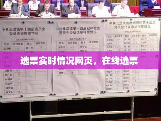 选票实时情况网页,在线选票