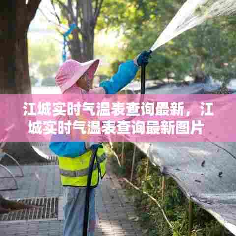江城实时气温表查询最新，江城实时气温表查询最新图片 