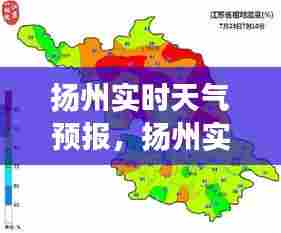 晋惠闻蛙 第6页