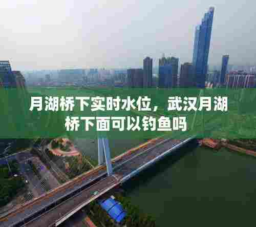月湖桥下实时水位，武汉月湖桥下面可以钓鱼吗 