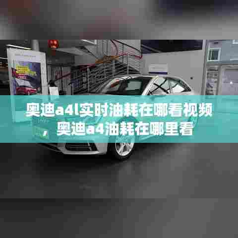 奥迪a4l实时油耗在哪看视频，奥迪a4油耗在哪里看 