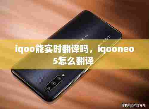 iqoo能实时翻译吗,iqooneo5怎么翻译