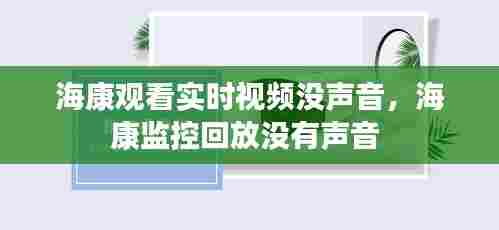海康观看实时视频没声音,海康监控回放没有声音