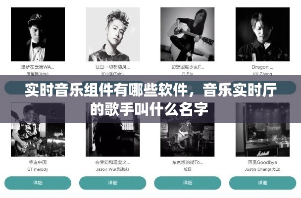 实时音乐组件有哪些软件，音乐实时厅的歌手叫什么名字 