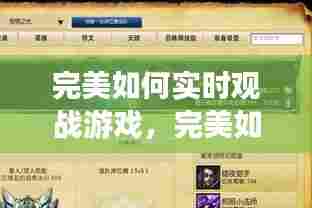 完美如何实时观战游戏,完美如何实时观战游戏队友