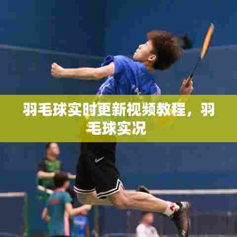 羽毛球实时更新视频教程，羽毛球实况 