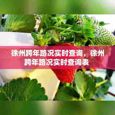 徐州跨年路况实时查询,徐州跨年路况实时查询表