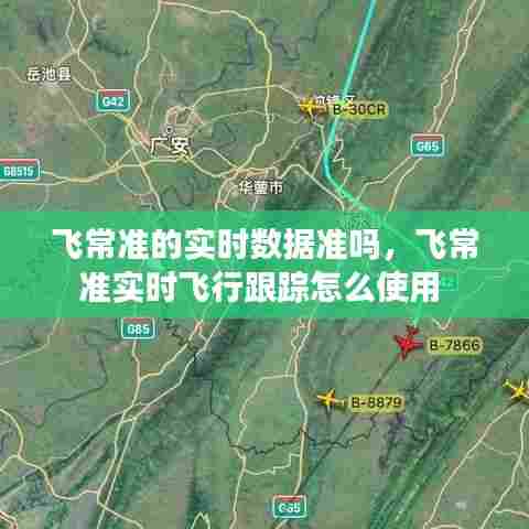 飞常准的实时数据准吗,飞常准实时飞行跟踪怎么使用