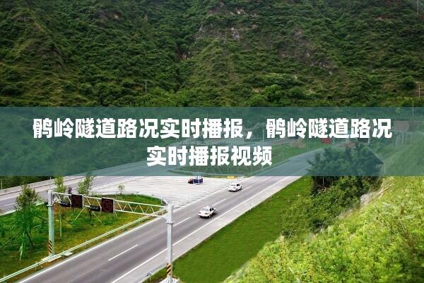 鹘岭隧道路况实时播报，鹘岭隧道路况实时播报视频 