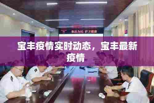 宝丰疫情实时动态，宝丰最新疫情 