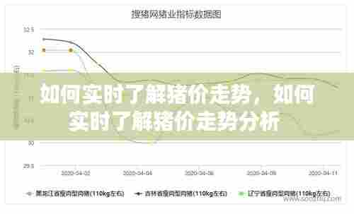 如何实时了解猪价走势，如何实时了解猪价走势分析 