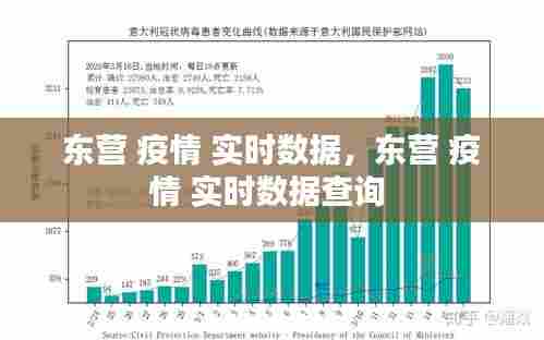 东营 疫情 实时数据,东营 疫情 实时数据查询