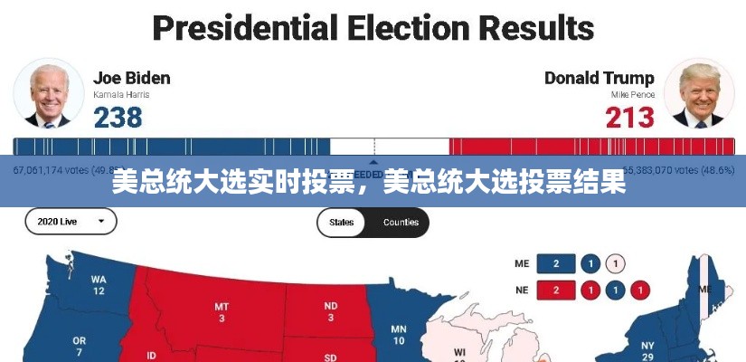 美总统大选实时投票，美总统大选投票结果 