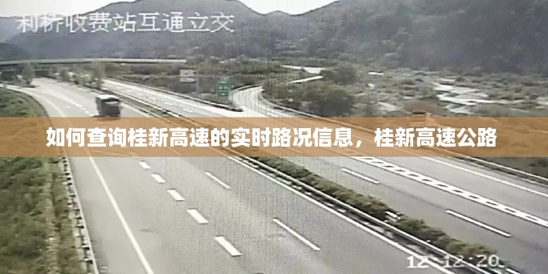 如何查询桂新高速的实时路况信息,桂新高速公路