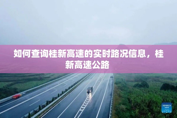 如何查询桂新高速的实时路况信息,桂新高速公路
