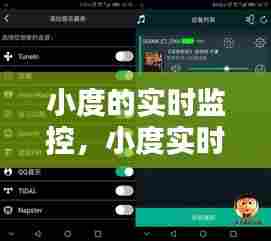 小度的实时监控，小度实时监控不了了 