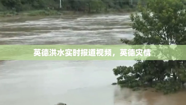 英德洪水实时报道视频，英德灾情 
