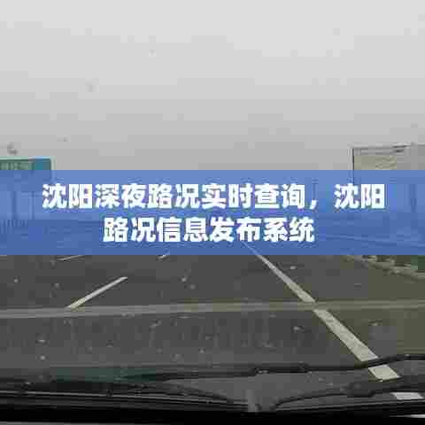 沈阳深夜路况实时查询，沈阳路况信息发布系统 
