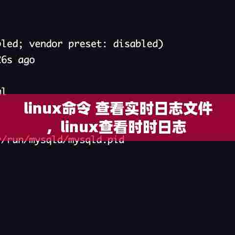 linux命令 查看实时日志文件,linux查看时时日志