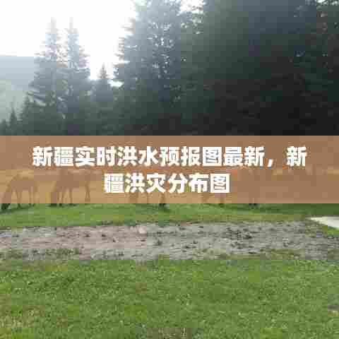 新疆实时洪水预报图最新，新疆洪灾分布图 