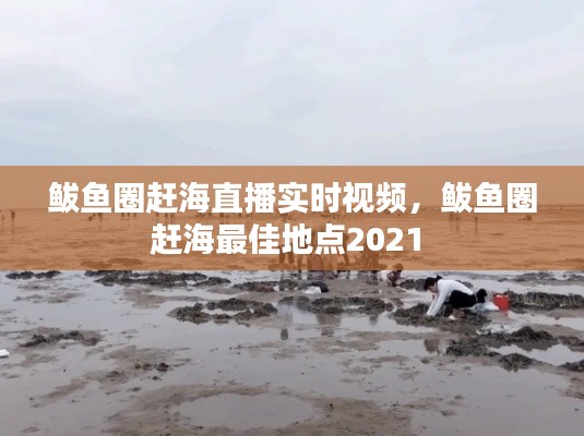 鲅鱼圈赶海直播实时视频，鲅鱼圈赶海最佳地点2021 